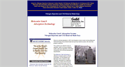 Desktop Screenshot of moleculargate.com